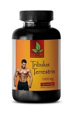 Tribulus Terrestris 1000 -