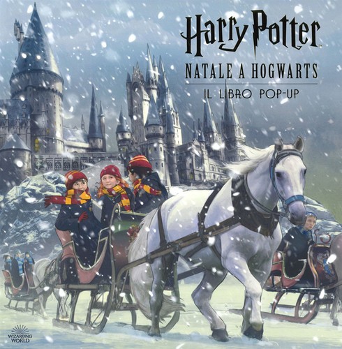 Harry potter natale a - potter.,
