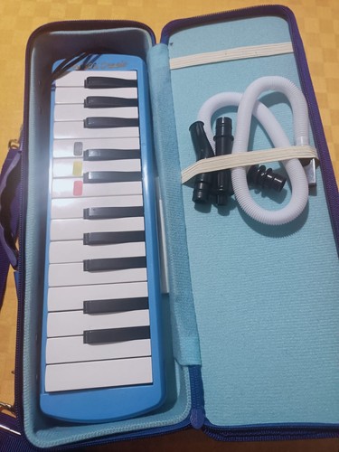 Diamonica melodica ottave - melodica,