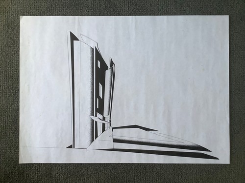 Rara stampa zaha hadid - rara,