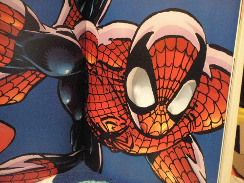 Spider man the - the, guide