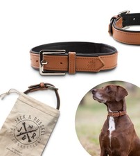 Jack  Russell Premium Collare