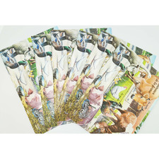 Lotto blocchi 69 - lotto,