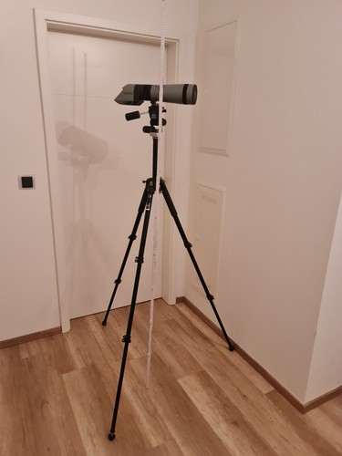 Habicht nuovo - habicht, hd