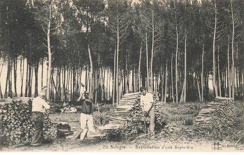 Sologne fg61427 - 45, in