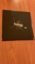 LP GAZZELLE INDI WARNER