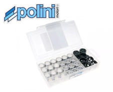 Rulli variatore Polini 19x5,5