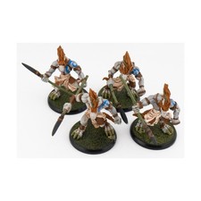 Rackham Wolfen of Yllia Mini