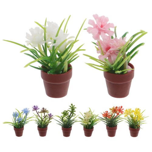 Piante vaso in - ,