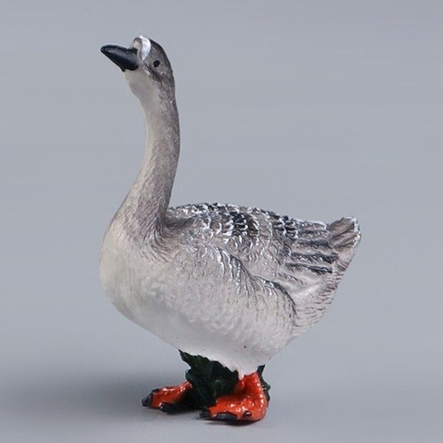 Uccellino oca animale - uccellino,