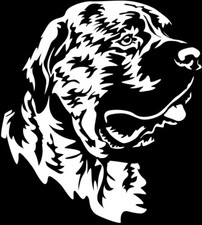 Adesivo PRESA CANARIO - sticker auto - sticker - testa Dogo Canario #60-W