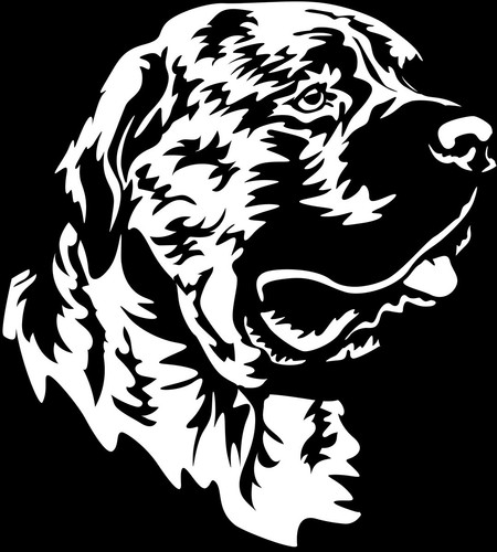 Adesivo presa canario - adesivo,