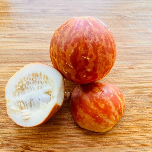 Melone queen anne pocket - melone,