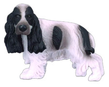 Cane inglese cocker spaniel