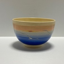 Ciotola da tè giapponese cerimonia del tè Chawan sole del mattino uccellino marino Chado Sado Chanoyu