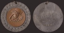 MEDAGLIA MARENO DI PIAVE -