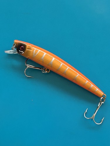 Esca pesca senza marca - esca,