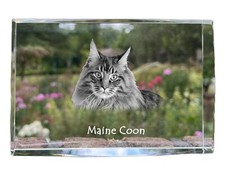 Maine Coon - Cristallo Con