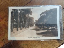 FREGENE ROMA CARTOLINA ANIMATA FP BN VGT 1929
