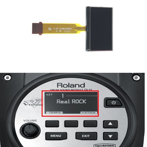 Display lcd 12pin 128x64 - display,
