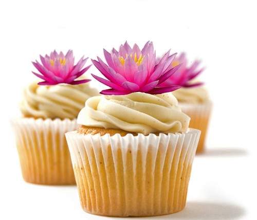 Topper per torta - ✿, 24