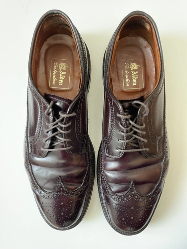 Blucher ala lunga - blucher,