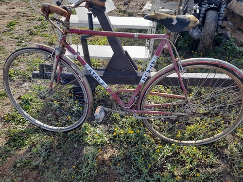 Bicicletta atala epoca - bicicletta, d