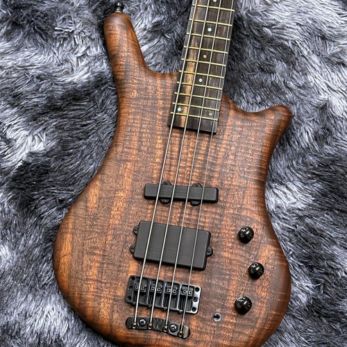 Warwick pro series - warwick,