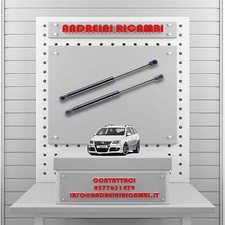 2 MOLLE A GAS BAGAGLIAIO