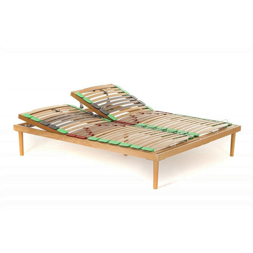 Rete faggio dynamic - rete,
