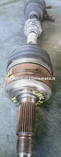 Semialbero anteriore completo