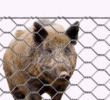 MARRA EDILE 25 ML RETE