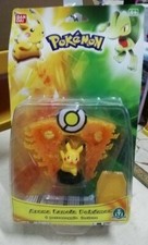 POKEMON ARENA LANCIA POKEMON 1