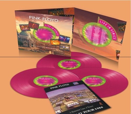 Pink floyd live in venice - pink,
