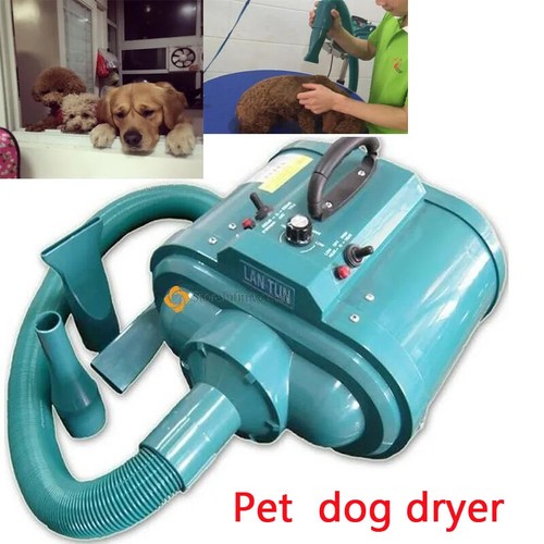 Asciugacapelli per cani - , ad