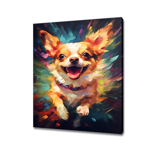 Chihuahua cane colorato