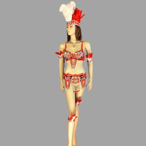 Costume parata rio carnevale - parata,