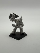 Citadel Chaos Warrior C35