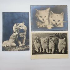 CARTOLINE-FOTOGRAFICHE-VINTAGE-ANTICHE-GATTI-GATTINI-ANNI 40-LOTTO-3PZ