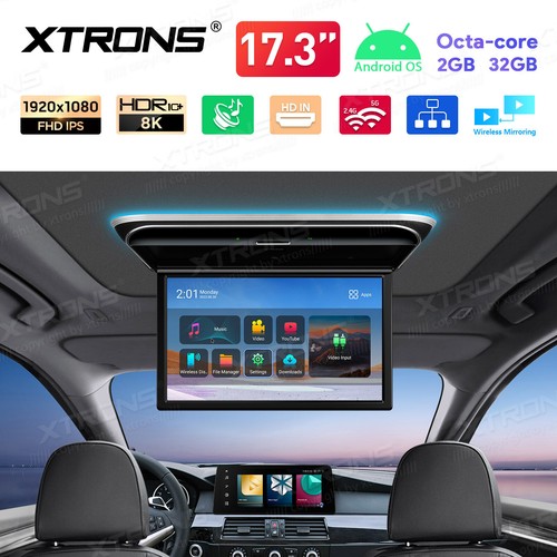 Monitor tetto auto - auto, 17,3"