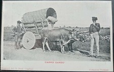 1900 - Carro Sardo