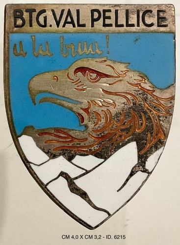 Alpini battaglione val pellice - battaglione,