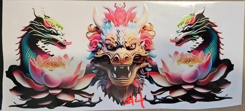 Dragon dtf impacchi - ,