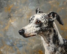 Whippet Serenely Glancing Back