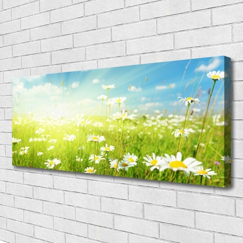 125x50 stampa tela - stampa, su