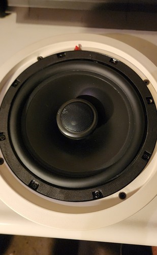 Cat ceiling mount - cat, speaker