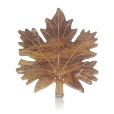 Himalaya portaincenso acer - himalaya,