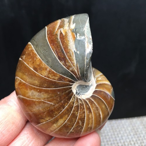 173g natural polishing - ,