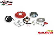 ACCENSIONE MALOSSI VESPOWER