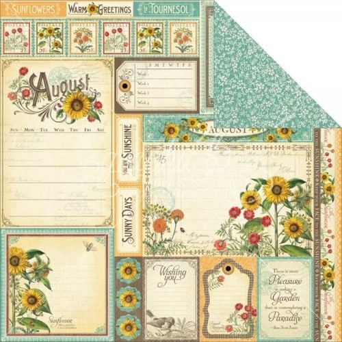Grafica time flourish - grafica,